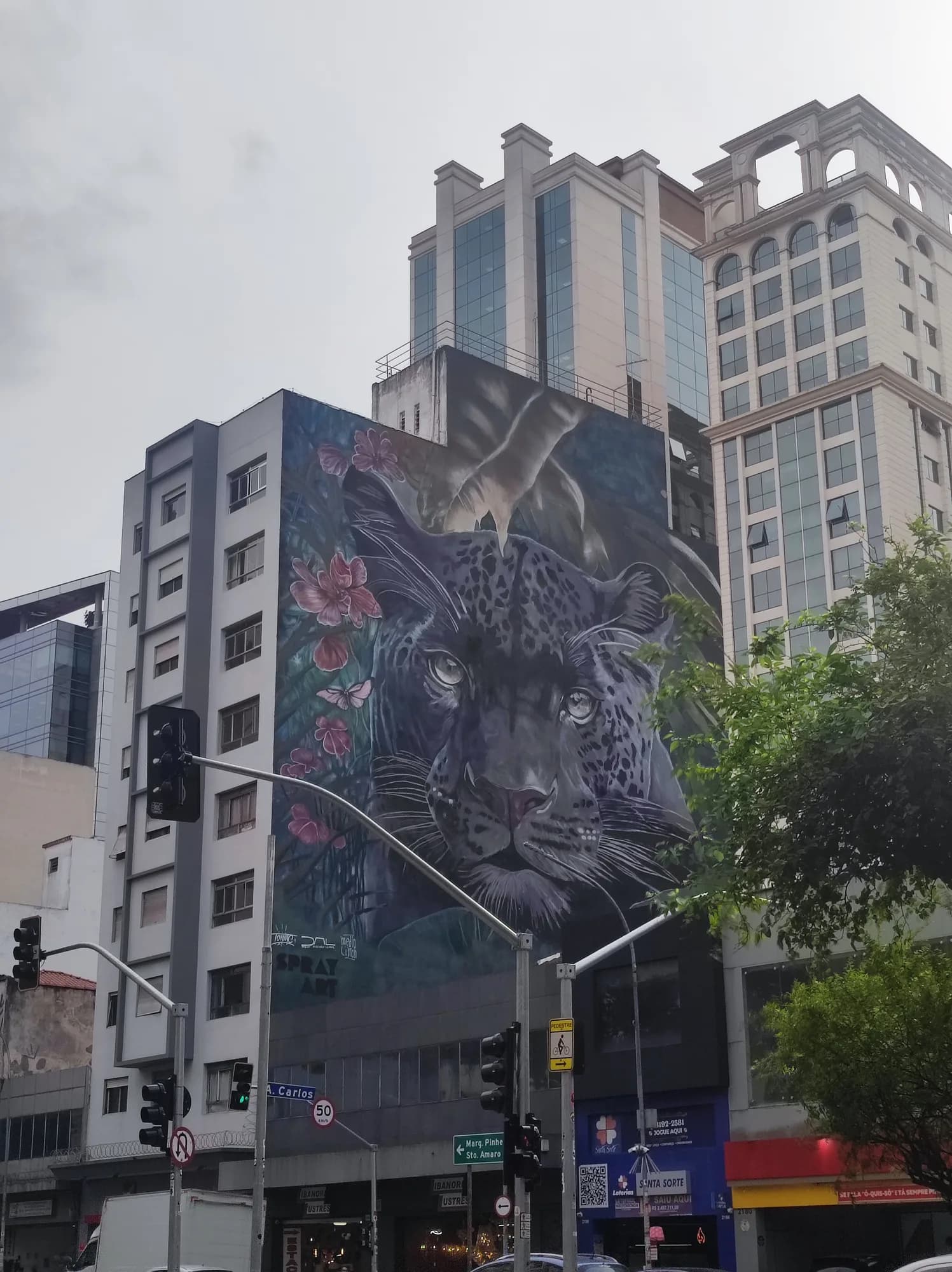 Mural Onça Negra - Rua da Consolação