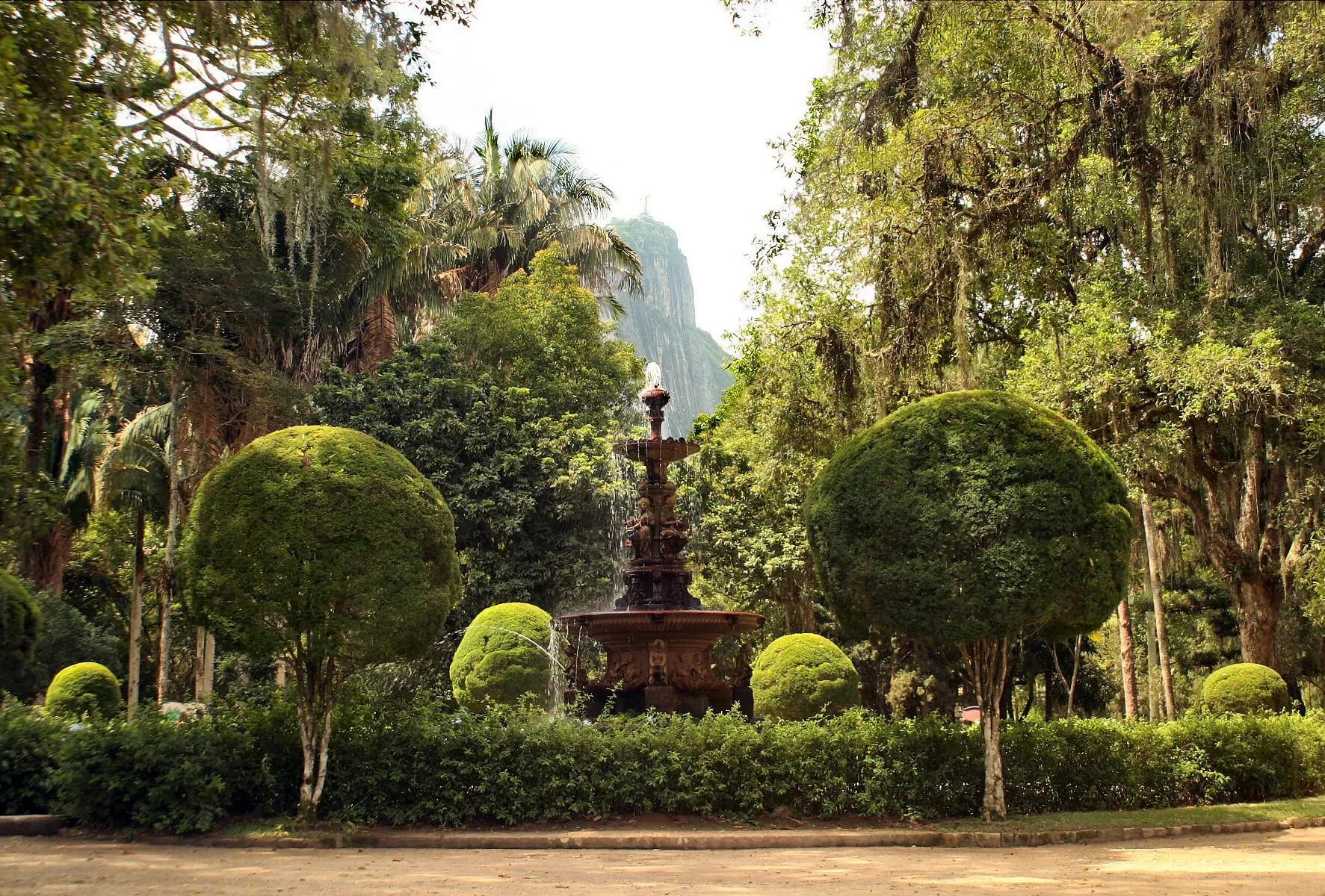 Rio Botanical Garden (Jardim Botânico)