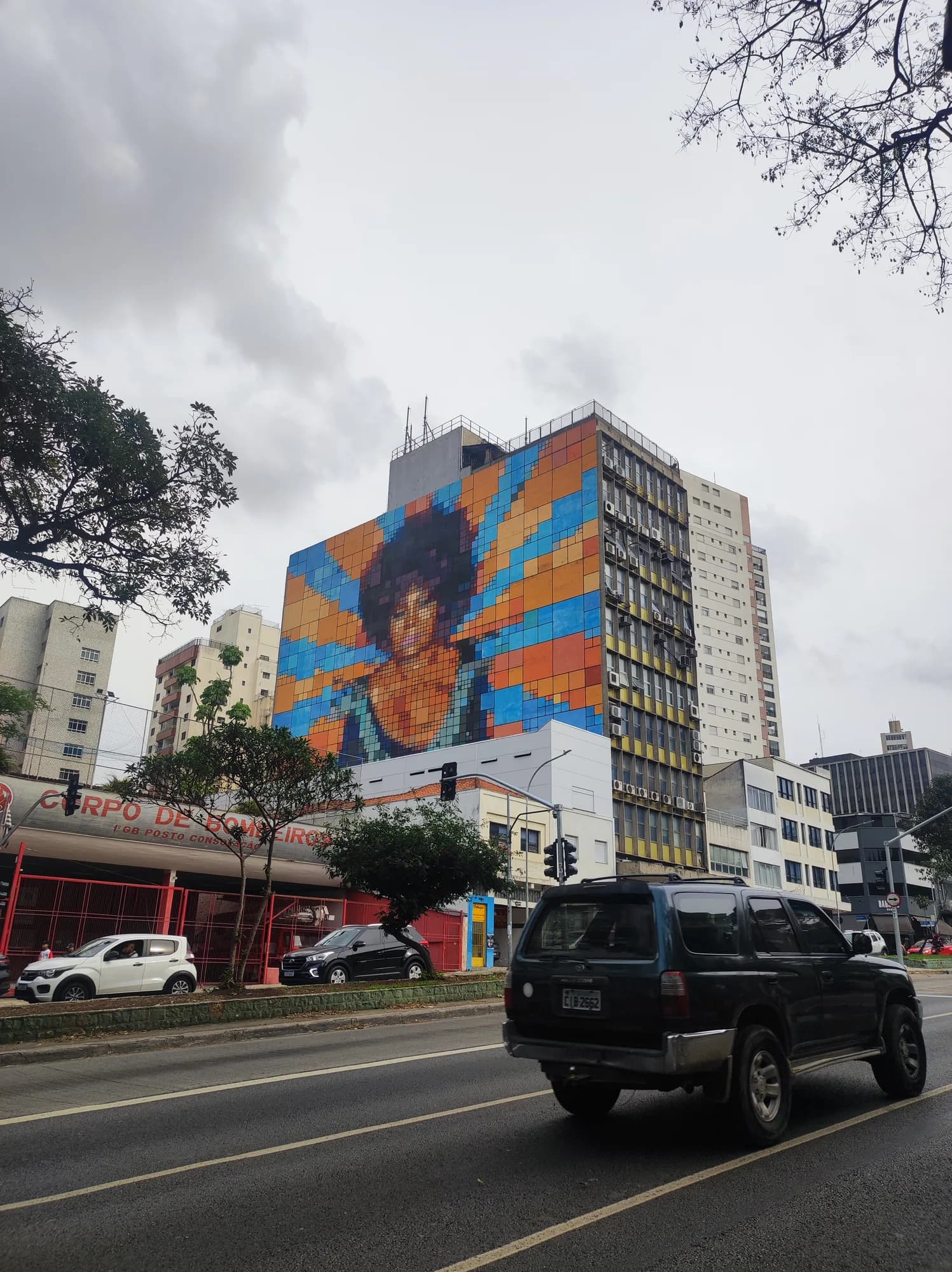 Mural Elza Soares - Felipe Cama