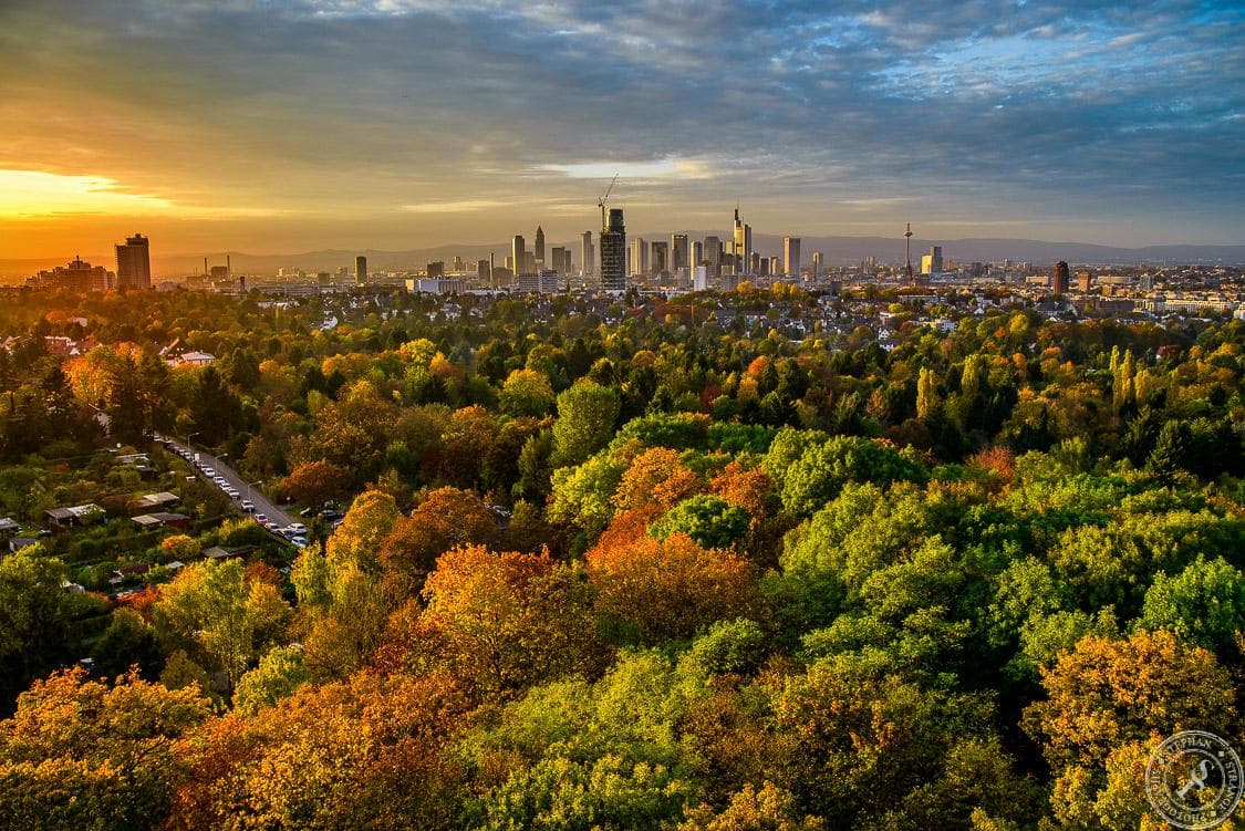 Goetheturm (Goethe Tower)