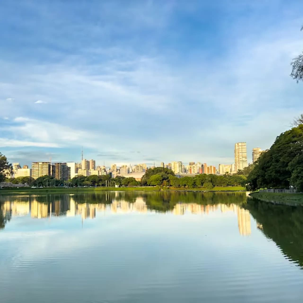 Ibirapuera Park