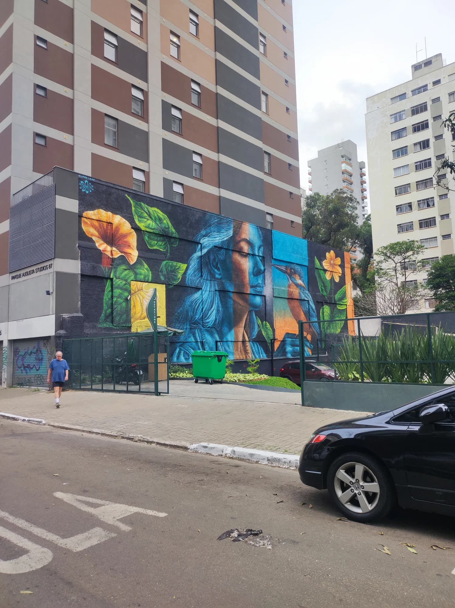 Mural Solitude - Mulher, Flores e Martim-Pescador