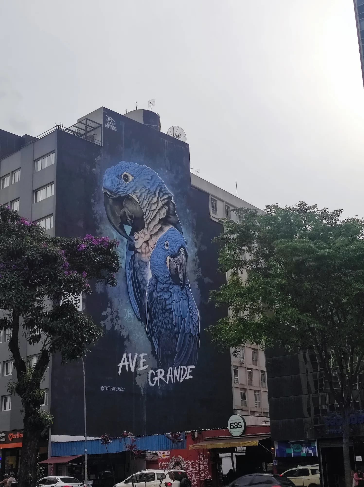 Mural Ave Grande - TOT PDF CREW