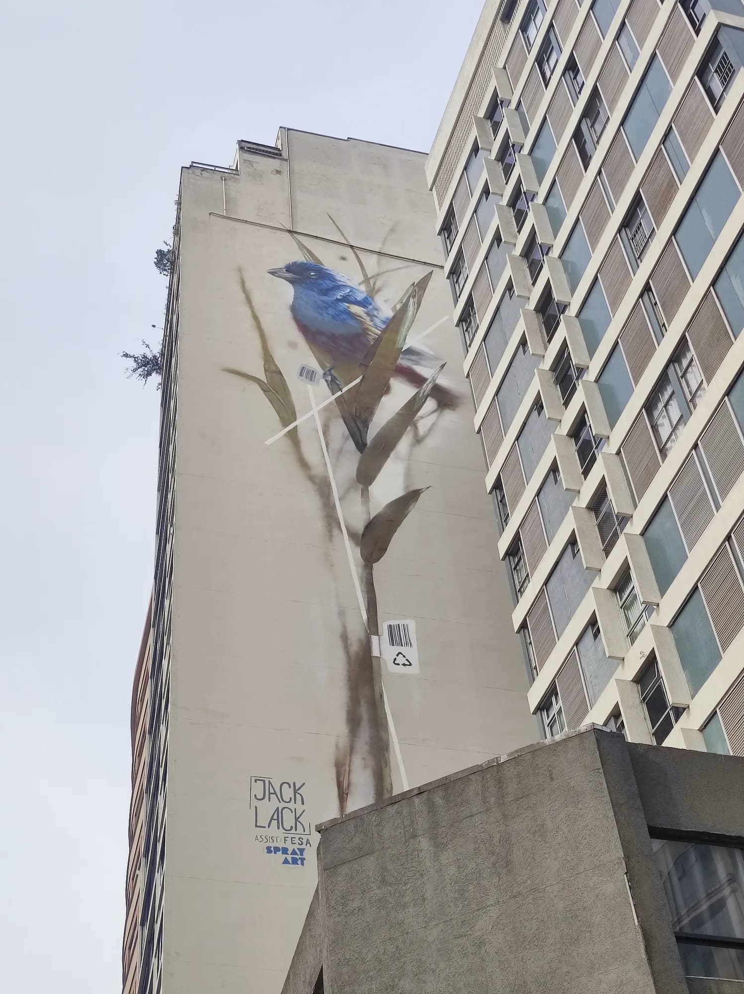 Mural Jack Lack - Pássaro e Código de Barras