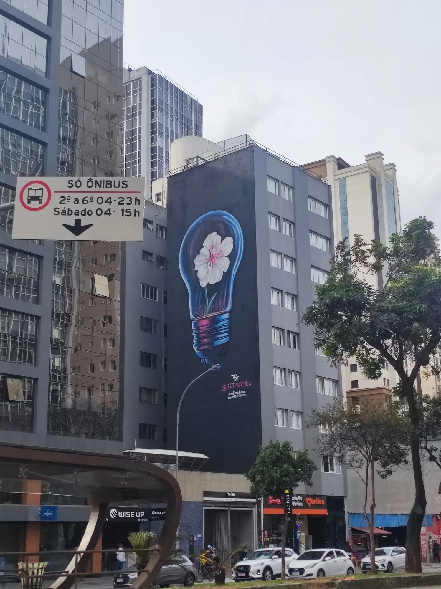 Mural Lâmpada e Flor - TOT PDF CREW
